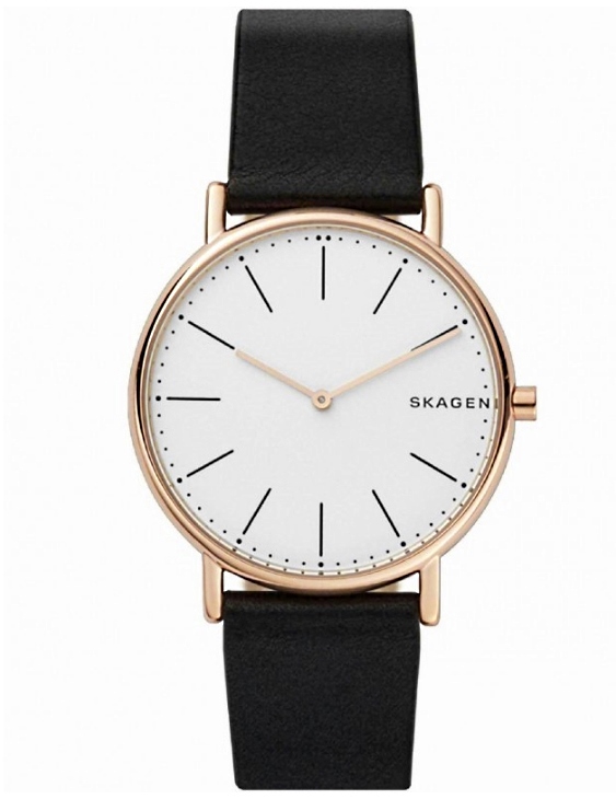 skagen skw6399